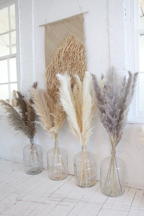 Beige Wall Colors, White Pampas, Dried Plants, Grass Decor, Pampas Grass Decor, Fluffy Clouds, Boho Home Decor, Decorative Flowers, Boho Home