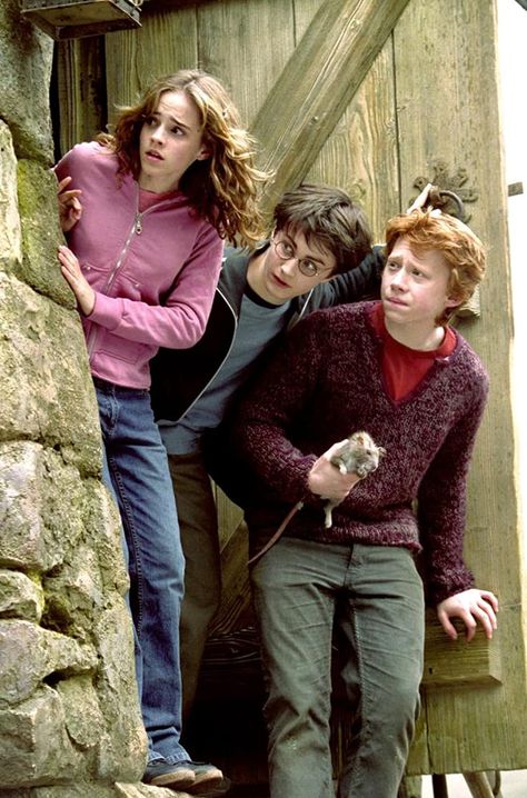 Harry Potter and the Prisoner of Azkaban (2004) Daniel Radcliffe And Emma Watson, The Prisoner, The Prisoner Of Azkaban, Rupert Grint, Prisoner Of Azkaban, Daniel Radcliffe, Emma Watson, Image Search, Harry Potter