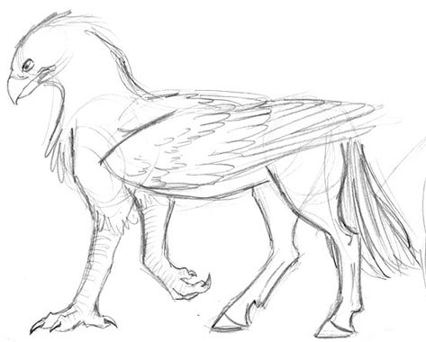 Buckbeak Drawing, Mythical Creature Drawings Sketches, Griffin Drawing, Animal Sketches Easy, Mythical Creatures Drawings, Mystical Animals, Fantasy Drawings, Harry Potter Drawings, Mythical Animal