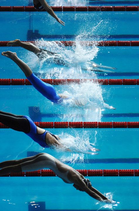 Swim dive start 01. Women dive into the pool at the start of a swimming race , #Ad, #start, #Swim, #dive, #swimming, #race #ad Swimmer Diving Into Pool, Swimming Competition Aesthetic, Swimming Sport Aesthetic, Swimming Collage, Competitive Swimming Aesthetic, Swimming Aesthetic Sport, Diving Into Pool, Swimming Pics, Swimming Race