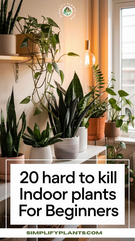 "Discover 20 hard to kill indoor plants perfect for beginners! This guide features beginner-friendly houseplants that are low maintenance and resilient, making them ideal for any home. Explore durable houseplants and tough indoor plants that thrive with minimal care. From robust houseplants to easy to care for indoor plants, find the perfect indoor plants for beginners. These hardy houseplants for beginners are not only sturdy but also enhance your living space!" Common Indoor Plants, Caring For House Plants, How To Care For Indoor Plants, Easiest Plants To Keep Alive Indoors, Easy Indoor Plants For Beginners, Beginner Plants Indoor, Plant Hacks Diy Projects, Houseplant Hacks, Trailing Plants Indoor