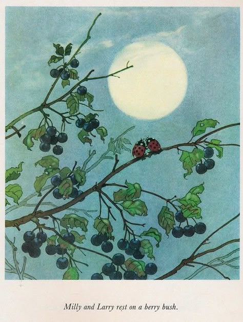 happily ever after,ill p 1 5 | illustration, published by Ti… | Flickr Fritz Baumgarten, A Ladybug, Arte Inspo, Funky Art, الرسومات اللطيفة, 그림 그리기, Pretty Art, Pretty Pictures, Full Moon