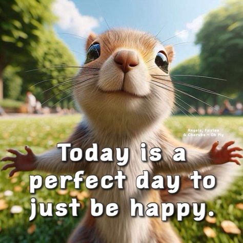 Good Morning Cat, Hugs And Kisses Quotes, Happy Day Quotes, Morning Cat, Good Morning Funny Pictures, Squirrel Funny, Good Morning Sunshine Quotes, Happy Morning Quotes, Cute Good Morning Quotes