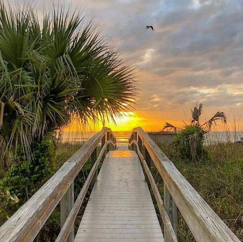 Cocoa Beach Aesthetic, Things To Do In Cocoa Beach Florida, Coco Beach Florida, Cocoa Beach Florida Aesthetic, Cocoa Beach Florida Pictures, Coca Beach Florida, Photo Series Ideas, Beach Sunset Florida, Charlie Brown Wallpaper