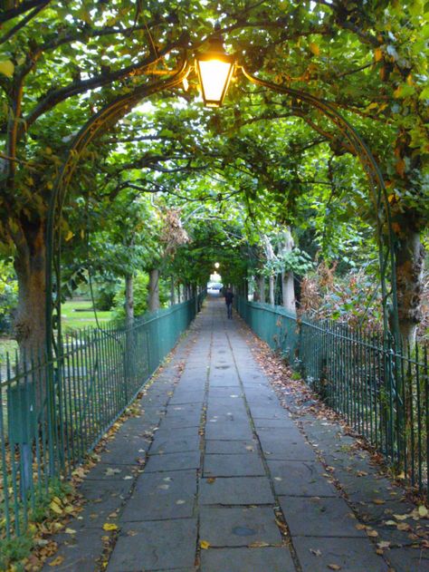 Birdcage Walk, Clifton Village, Clifton Bristol, City Of Bristol, Bristol England, Bristol City, Uk City, Bristol Uk, Places Of Interest