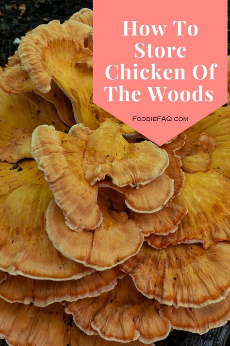 Proper storage of Chicken of the Woods is key to keeping the mushrooms fresh and delicious, and for extending their shelf life. Growing Chicken Of The Woods Mushrooms, How To Preserve Chicken Of The Woods, Chicken In The Woods Mushroom, Chicken Of The Woods Mushroom Recipes, Chicken Of The Woods Recipe, Foraged Recipes, Mushroom Board, Freezing Mushrooms, Chicken Of The Woods Mushroom