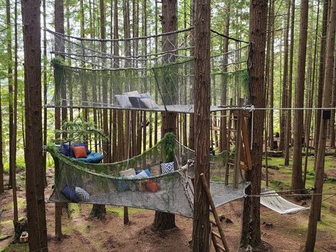 Paracord Tree Net, Rope Loft, Tree Net, Outdoor Forts, Outdoor Movie Screen, Tree House Plans, Backyard Kids Play Area, Tree Fort, Emerald Forest