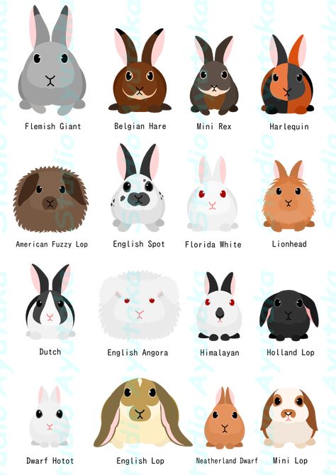 Bunny Breeds, Ciel Black Butler, Mouse Pointer, Rabbit Habitat, Pet Rabbit Care, Rabbit Names, Rabbit Clipart, Pet Bunny Rabbits, Rabbit Pictures