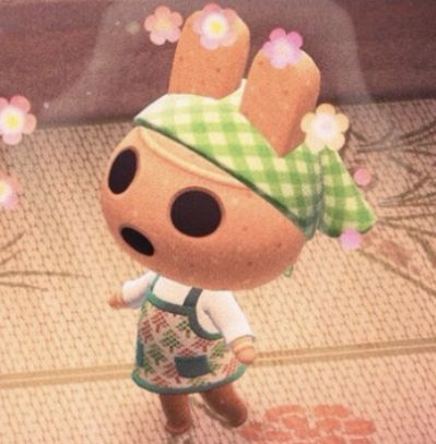 Aesthetic Animal Crossing Villagers, Teddy Animal Crossing, Coco Acnh, Coco Animal Crossing, Fall Acnh, Acnh Villagers, Ac New Leaf, Nap Pillow, Hello Kitty Aesthetic