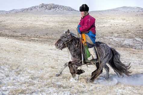 Galloping across the steppes: The unusually small horses are pictured as they travelled through Khentii province in eastern Mongolia during the Winter Horse Festival, where skilful horsemen gather to challenge the strength of their steed and show off their riding skills Cover Poster Design, Milk Tray, Horse Archer, Steel Toed Boots, Michel Foucault, Winter Horse, Saddle Fitting, Yahoo News, Mongolia