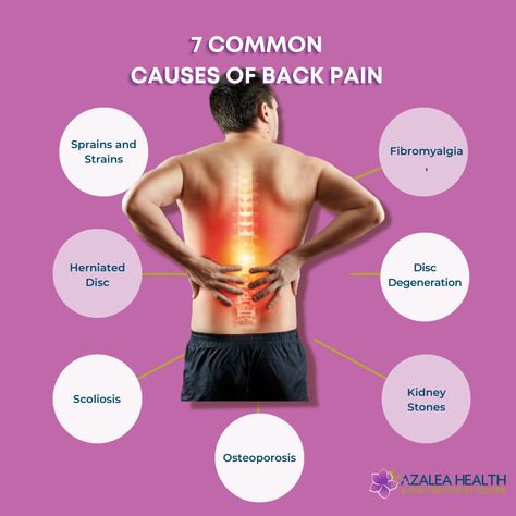 Spine Problems, Back Health, Spinal Health, Severe Back Pain, Spine Alignment, Causes Of Back Pain, Pain Relief Remedies, Improve Nutrition, Degenerative Disease