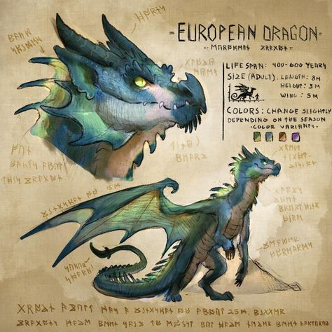 Sus Stuff, Dragon Species, Dragon Anatomy, Dragon Drawings, Dragon Sketch, Httyd Dragons, Fantasy Creature, Creature Drawings, Dragon Pictures