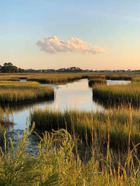 Marsh Landscape Photography, Marshland Aesthetic, Nature Reference Photos For Artists, Scenery Reference Photos, Reference Photos Landscape, Landscape Reference Photos For Artists, Simple Landscape Photography, Marsh Wallpaper, Marsh Pictures