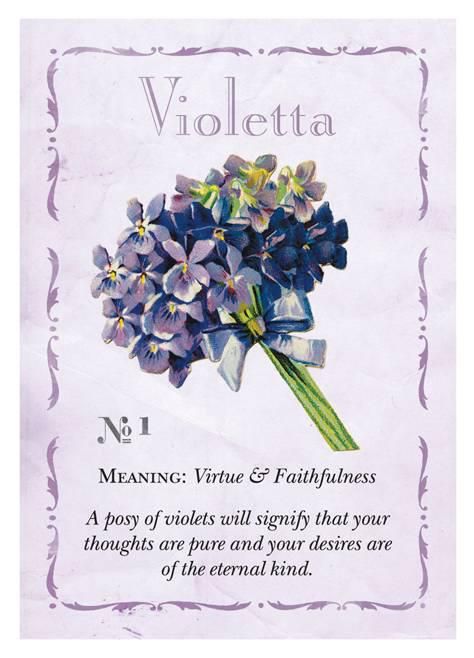 Penhaligons Floriography Card No 1 Violetta Bouquet Of Violets, Sweet Violets, Flower Meanings, Symbols And Meanings, Flower Names, Language Of Flowers, All Things Purple, Flower Quotes, الرسومات اللطيفة