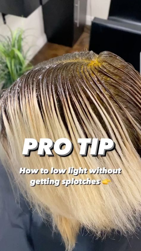 STEVIE MEECH | ⚠️ PRO TIP ⚠️ Low lights on bright blondes can sometimes be tough to not get unwanted splotching. Here are a few of my tips 👇 1. Lay… | Instagram Adding Low Lights To Blonde Hair Before And After, Root Smudge Lowlights, At Home Lowlights, Blond Hair Black Highlights, How To Low Light Hair At Home, Adding Lowlights To Bleached Hair, Lowlights Placement, How To Do Lowlights At Home, How To Add Lowlights To Blonde Hair Diy