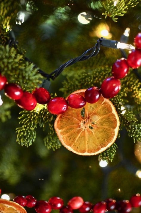 How To String Orange Garland, Orange Garland Tree, Cranberry And Orange Garland, Orange And Cranberry Garland, Dried Citrus Decorations, Cranberries Decor, Cranberry Tree, Christmas Tree Natural, Cranberry Garland