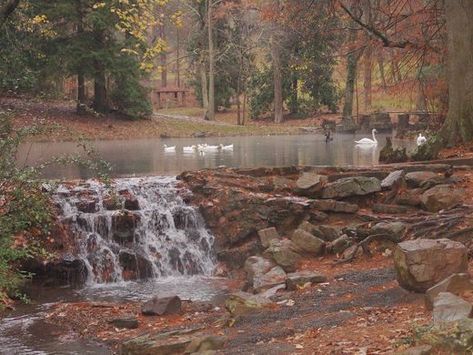 Berry College Aesthetic, Berry University, University Of Georgia Campus, Georgia State University Aesthetic, University Of North Georgia Dahlonega, Rome Georgia, Berry College, Southern Plantations, Dream College