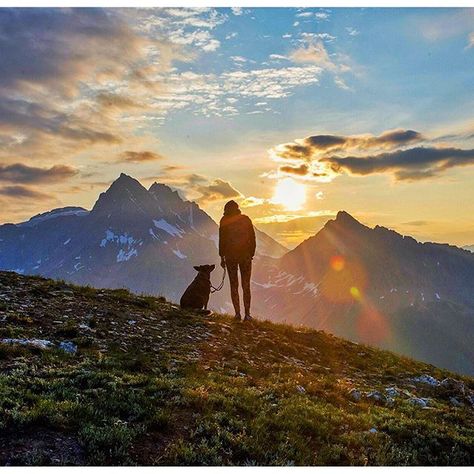 Adventure With Dog, Hiking Poses With Dog, Dogs On Adventures, Dog Hiking Aesthetic, Dog Mountain, Hiking With Dog Photography, Hiking Dog, Adventure Dog, Dog Aesthetic