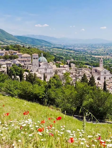 Visit Assisi, Italy | Tailor-Made Trips to Assisi | Audley Travel Rome Trip, Europe Pics, Assisi Italy, Italian Places, Umbria Italy, Travel Uk, Europe Summer, Europe Trip, Rome Travel