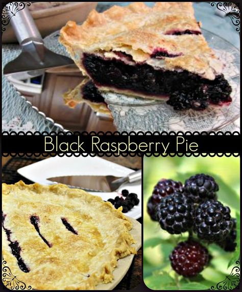 Black Raspberry Pie Recipe | Is It a Blackberry or Black Raspberry Easy Blackberry Pie, Black Raspberry Recipes, Black Raspberry Pie, Blackberry Pie Recipe, Raspberry Pie Recipe, Honey Cafe, Blackberry Pie, Blackberry Recipes, Raspberry Pie