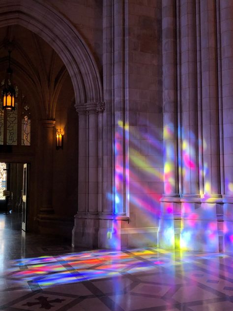 Glass Cathedral, Cathedral Aesthetic, Pink Mosque, Washington National Cathedral, Glass Photography, Stained Glass Light, Cathedral Architecture, Amaranth, Artist Alley