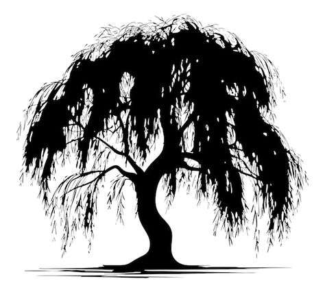 Willow tree silhouette artistic illustra... | Premium Vector #Freepik #vector #landscape-silhouette #nature-silhouette #tree-silhouette #nature-art Willow Tree Silhouette, Silhouette Nature, Nature Silhouette, Silhouette Tree, Landscape Silhouette, Vector Landscape, Weeping Willow Tree, Silhouette Painting, Weeping Willow