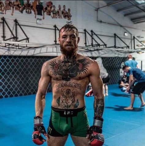 Conor Mcgregor Body, Conor Mcgregor Hairstyle, Connor Macgregor, Conor Mcgregor Wallpaper, Conner Mcgregor, Mcgregor Wallpapers, Conor Mcgregor Style, Notorious Mcgregor, Conor Mcgregor Ufc