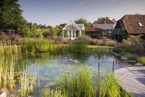 Why everyone wants a natural swimming pond in their back garden Bio Pool, Swimming Ponds, Natural Swimming Ponds, Contemporary Garden Design, Wild Swimming, Swimming Pond, Pond Landscaping, Natural Pond, Natural Swimming Pools