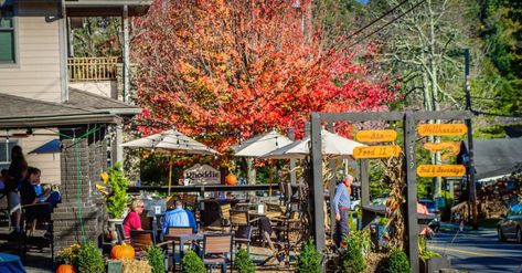 Exploring Downtown Blowing Rock NC: Restaurants, Shopping & More - Blue Ridge Mountains Travel Guide Maggie Valley Nc, Blowing Rock Nc, Virginia Mountains, Pisgah National Forest, Western Nc, Blowing Rock, North Carolina Mountains, Natural Bridge, Mountain Travel