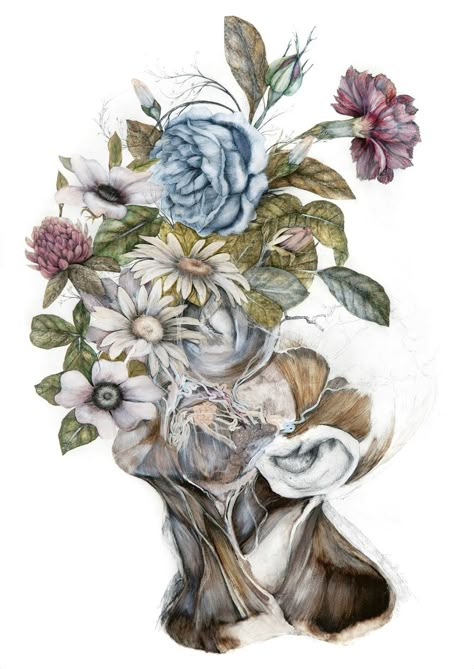 Mimesis: New Anatomical Paintings Depicting Flora and Fauna by Nunzio Paci | Colossal Nunzio Paci, Flora And Fauna Art, Final Piece Ideas, Gcse Art Exam, Medical Drawings, Art Alevel, A Level Art Sketchbook, Fauna And Flora, Detailed Paintings