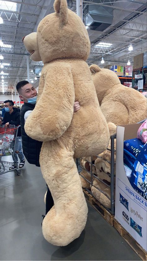 6ft Teddy Bear, Costco Bear, Huge Teddy Bears, Teddy Bear Costume, Fluffy Teddy Bear, Giant Stuffed Animals, Large Teddy Bear, Big Teddy Bear, Teddy Bear Images