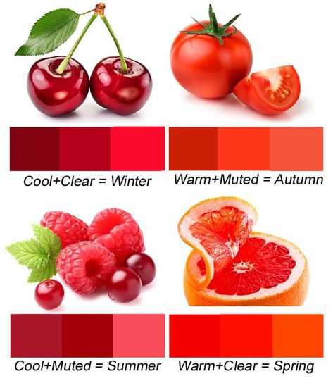 True Spring Colors, Deep Autumn Color Palette, Soft Summer Palette, Deep Winter Colors, Clear Winter, Spring Red, Winter Color Palette, Mode Tips, Spring Palette