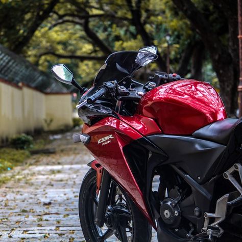 Honda Cbr 250r, Cbr 250r, Honda Cbr250r, Bike Pics, Bike Photo, Honda Cbr, Motorcycle Girl, Vroom Vroom, Sport Bikes