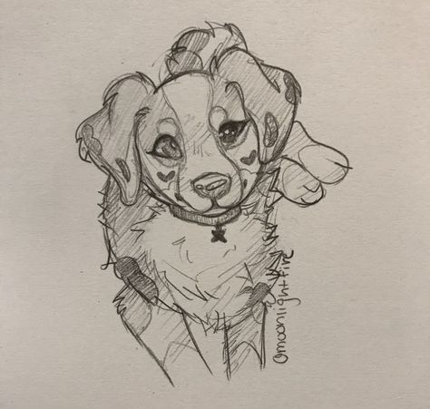 Dog Proportions, Cute Dog Drawing Sketches, Dog Drawing Base, Animal Proportions, Dog Base, Dog Oc, Dog Design Art, Photos Of Animals, Magic Runes