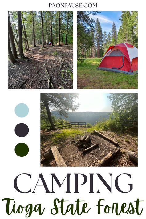 Pennsylvania's Tioga State Forest offers a wide variety of camping options to fit every enthusiast's style. Whether you're looking for back-country tent spots along the Pennsylvania Grand Canyon's West Rim backpacking trail, or drive up sites near Leonard Harrison and Colton Point State Parks, there's something for everyone. Read our guide for the best information on where to set up camp! Pennsylvania Camping, Grand Canyon West Rim, Allegheny National Forest, Grand Canyon West, Backpacking Trails, Forest Camping, Forest Camp, Pennsylvania Travel, Forest Road