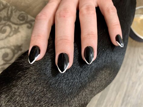 The trouble with owning small dogs is that they dont make good nailfie backgrounds. Pointed acrylic black gel with an accent line for that extra pointy look. #nail #idea #polish #trend Small Pointy Nails, Pointy Nails, Lines On Nails, Nail Idea, Nails 2020, Nails Black, Breed Dogs, Small Dog Breeds, Small Breed