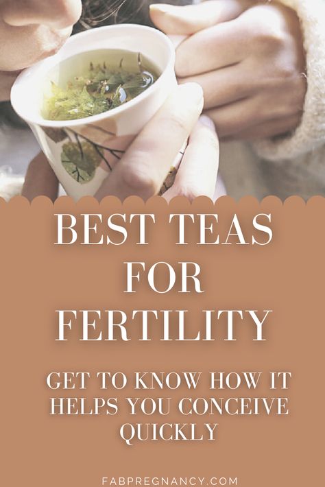 Diy Fertility Tea, Chinese Medicine To Get Pregnant, Nettle Tea Benefits Fertility, Fertility Tea Recipe, Fertility Tea Trying To Conceive, How To Conceive Quickly, Tea For Fertility, Teas For Fertility, Nettle Tea Benefits