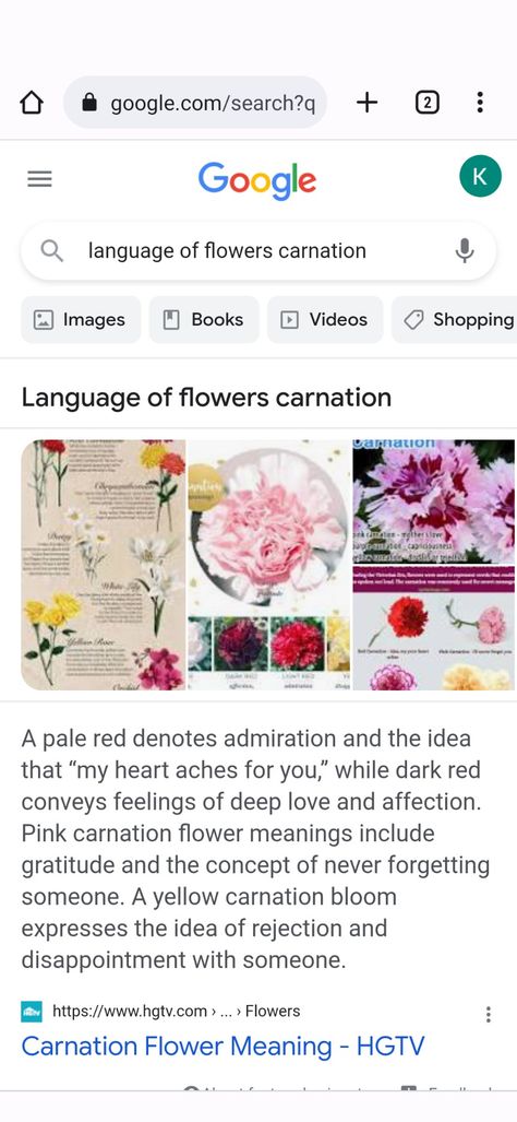 Meaning of carnations Carnation Color Meaning, Ciara Core, Carnation Flower Meaning, Growing Carnations, Carnation Plants, Carnation Colors, Growing Sweet Peas, Green Carnation, Purple Carnations