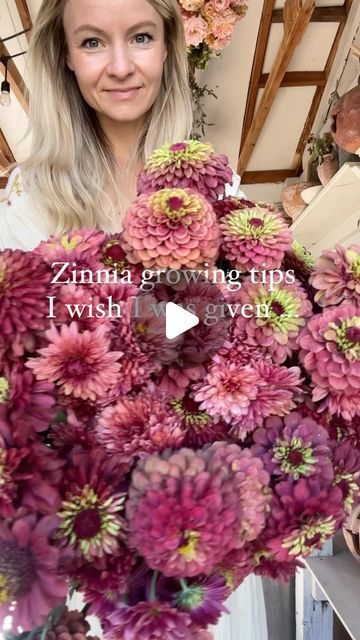 46K likes, 2,479 comments - blossomandbranchfarmMarch 27, 2024 on : "Just a few pieces of zinnia-growing advice I wish I had gotten in my first year of growing them—-you may not have heard a couple of the...". Zinnia Garden Beds, Zinnia In Pots, Zinnia Border, Zinnias Garden Ideas, Zinnia Arrangements, Zinnias Flowers, Harvest Zinnia Seeds, Collecting Zinnia Seeds, Vermont Garden