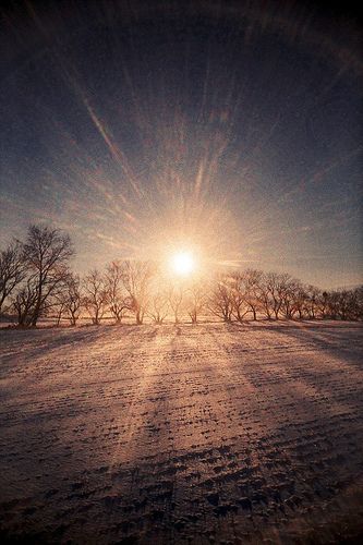 winter sun Flare Photography, Winter Sunshine, Happy Winter Solstice, Sun Flare, Winter Beauty, Winter Wonder, Winter Solstice, Jack Frost, Morning Glory