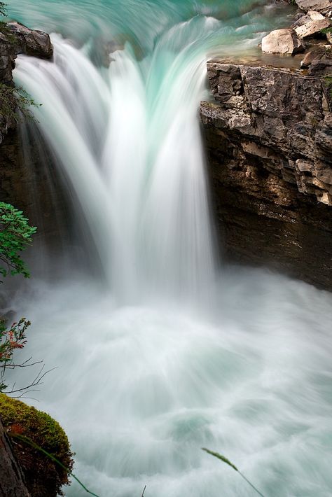 Johnston Canyon, Waterfall Pictures, Chasing Waterfalls, Water Falls, Pin Design, Fairy Queen, Soyut Sanat Tabloları, Waterfall Photography, Oak Leaf