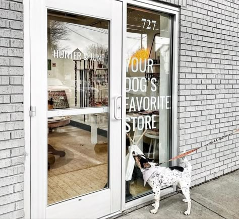 Puppy Store Ideas, Dog Grooming Store Fronts, Opening A Pet Store, Dog Retail Store, Pet Boutique Ideas Store Design, Dog Shop Ideas, Dog Cafe Design, Pet Shop Design Interior, Pet Shop Ideas Decor