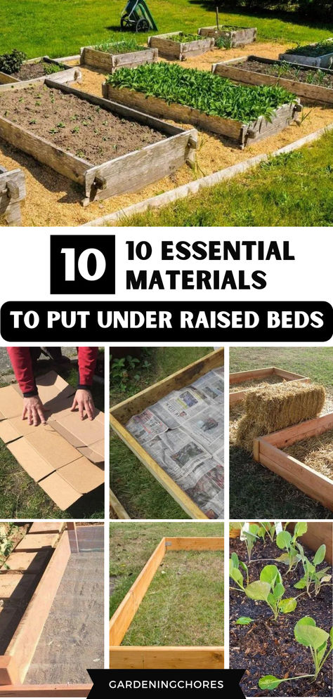 10 essential materials to put under raised beds Diy Raised Beds Garden Cheap, Easy Raised Garden Bed, Plant Advice, Vegetable Harvest, Garden Fun, Backyard Gardening, Gardening Hacks, Landscape Fabric, Creative Gardening