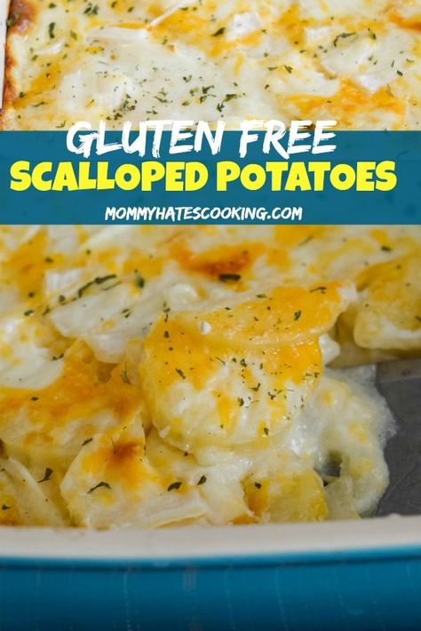 Gluten-Free Scalloped Potatoes are a great addition to any holiday meal or just a family dinner night. They taste delicious and give you that homestyle potato tastes you are looking for! #Homemade #GlutenFree #GlutenFreeSideDish Ham Gluten Free Recipes, Gluten Free Scalloped Potatoes And Ham, Gluten Free Potatoes Recipes, Gluten Free Au Gratin Potatoes, Gf Scalloped Potatoes, Scalloped Potatoes Gluten Free, Nutrious Foods, Gluten Free Scalloped Potatoes, Gf Sides