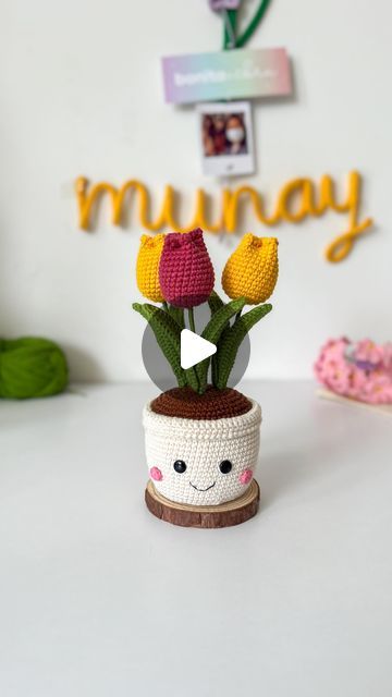 Crochet Flower Pot, Crochet Home, Flower Pot, Crochet Flowers, Flower Pots, Amigurumi, Crochet, Flowers, On Instagram