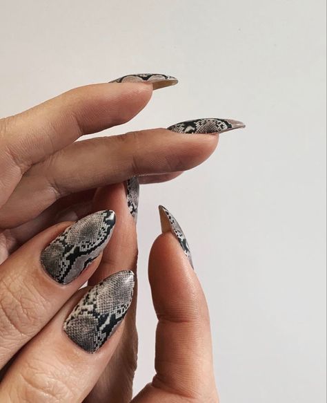 Snake Manicure Nail Art, White Snakeskin Nails, Black Snakeskin Nails, Snake Foil Nails, Snake Scale Nails, Snake Print Nails Design, Snake Skin Nail Art, Snakeskin Nail Designs, Snake Print Nails Acrylic