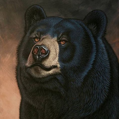 Black Bear Tattoo, Black Bears Art, Nature Tattoo Sleeve, Bear Paintings, Portraiture Painting, Italy Painting, Realism Painting, Wildlife Artists, Animal Painting