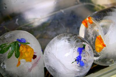 Ballon Ice Balls Frozen Balloons, Flower Ice Balloon, Flower Ice Cubes Balloon, Floral Ice Spheres, Frozen Flowers In Ice Balloon, Balloon Ice Balls With Flowers, Frozen Balloons, Flower Ice Cubes, Balloons Art