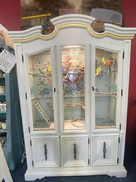 Repurpose + Upcycle = Inspiration | Repurposed China cabinet to a bird cage | Facebook China Cabinet Bird Cage, Repurposed Bird Cage Ideas, Mcminnville Tennessee, Repurposed China Cabinet, Repurposed China, Upcycle Inspiration, Antique Bird Cages, Reptile Room, Barbie Kitchen