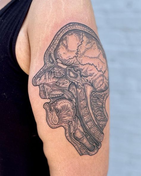 Katy Wiedemann on Instagram: “I’m always happy to adapt my own traditional work into tattoos! This piece is an illustration I drew for my book Anatomicum featuring a…” Katy Wiedemann, Anatomical Tattoos, Upper Respiratory Tract, Local Bookstore, Anatomy Tattoo, Science Tattoos, Etching Tattoo, Medical Tattoo, Always Happy